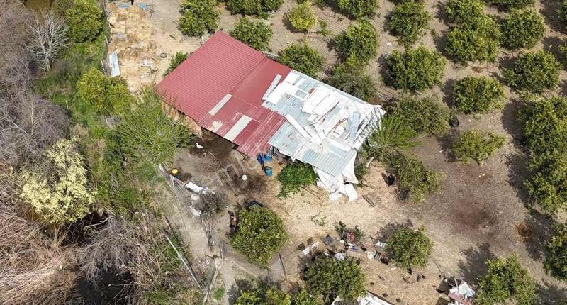 Köyceğizde Göle Yakın Portakal Bahçesi Ve Müstakil Yaşam Alanı - Görsel 9