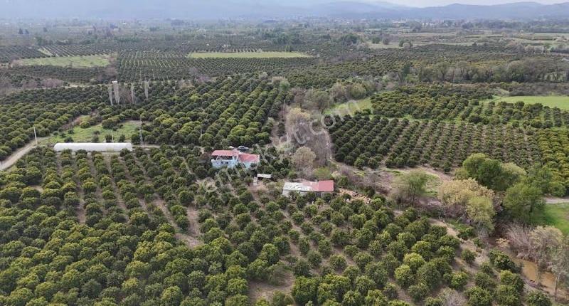 Köyceğizde Göle Yakın Portakal Bahçesi Ve Müstakil Yaşam Alanı - Görsel 25