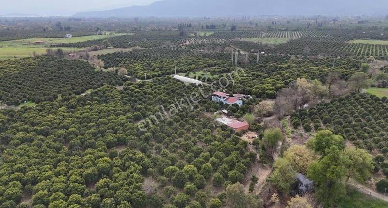 Köyceğizde Göle Yakın Portakal Bahçesi Ve Müstakil Yaşam Alanı - Görsel 16