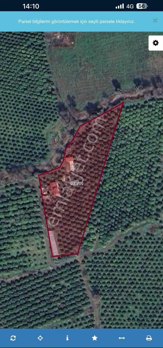 Köyceğizde Göle Yakın Portakal Bahçesi Ve Müstakil Yaşam Alanı - Görsel 11