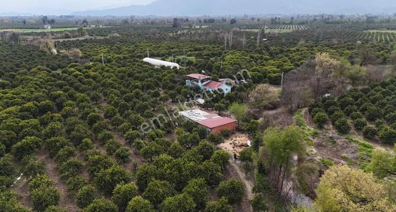 Köyceğizde Göle Yakın Portakal Bahçesi Ve Müstakil Yaşam Alanı - Görsel 21
