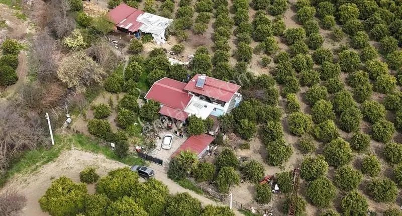 Köyceğizde Göle Yakın Portakal Bahçesi Ve Müstakil Yaşam Alanı - Görsel 4