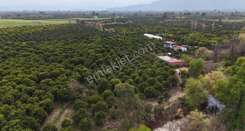 Köyceğizde Göle Yakın Portakal Bahçesi Ve Müstakil Yaşam Alanı - Görsel 18