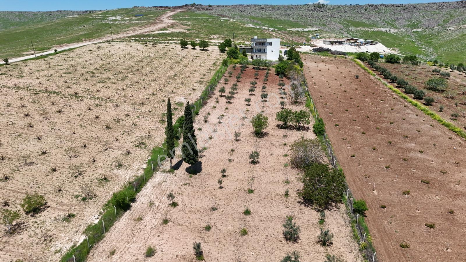 Yaşarsoy Gyo'dan Aşağı İçkara'da Havadar 5948 Metrekare Bağ Evi - Görsel 4
