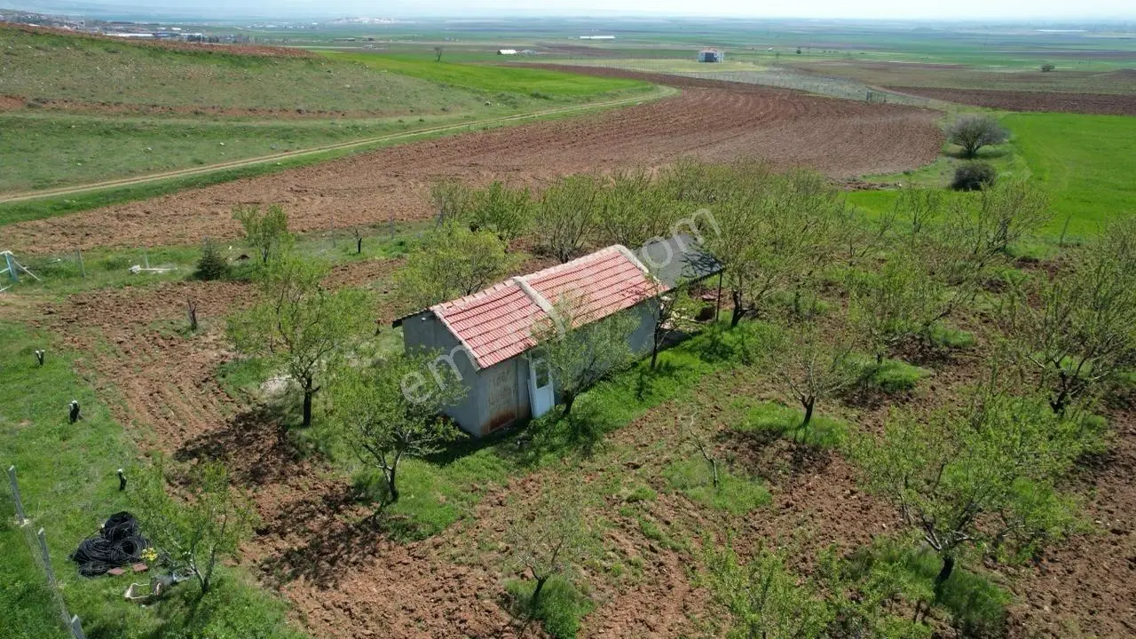Eker'den Kızılcaören Mahallesinde 13 Dönüm Badem Bahçesi