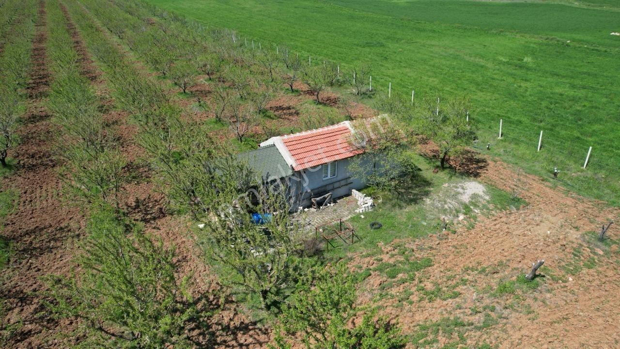 Eker'den Kızılcaören Mahallesinde 13 Dönüm Badem Bahçesi - Görsel 27