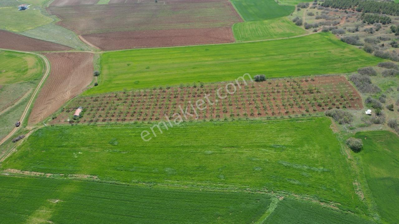 Eker'den Kızılcaören Mahallesinde 13 Dönüm Badem Bahçesi - Görsel 6