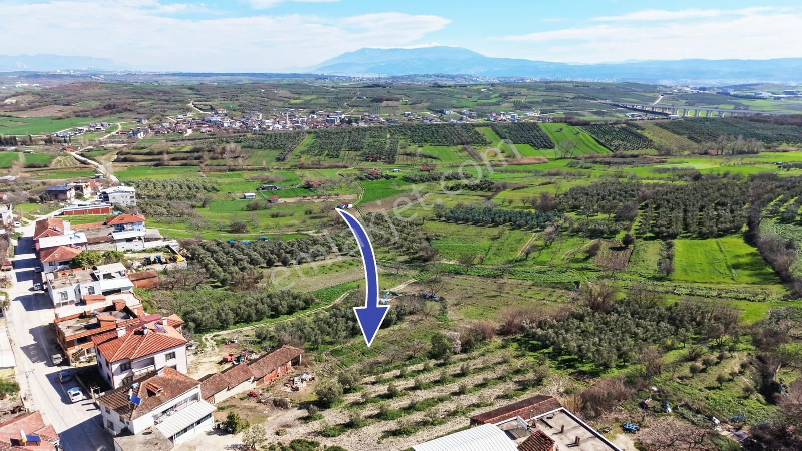 Nilüfer Konaklı'da Satılık Köy İçi Tek Tapu 637m2 Bahçe - Görsel 9