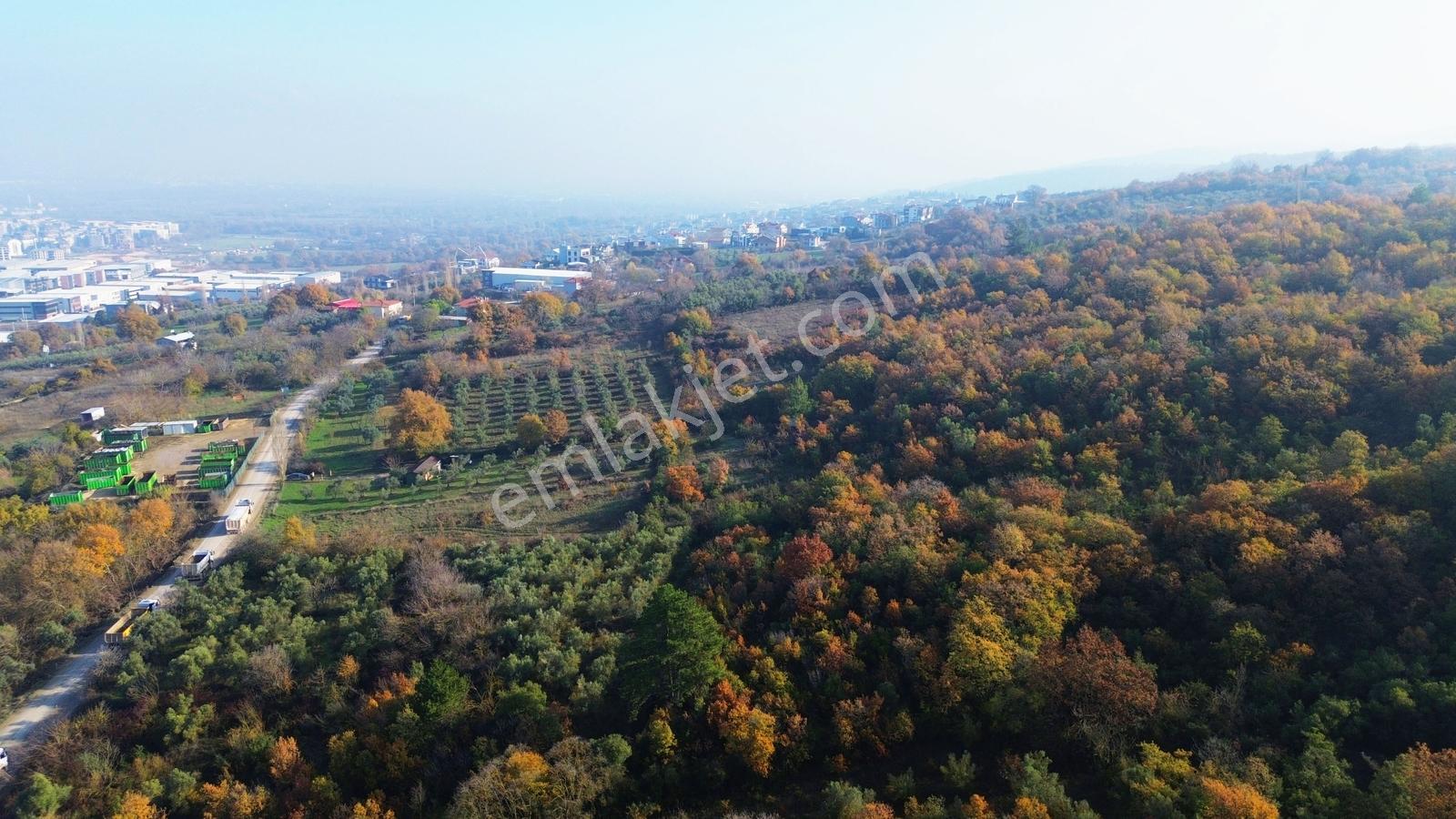 Kayapa'da 5000lik Planda Satılık Tek Tapu 1902 M2 Yatırımlık - Görsel 4