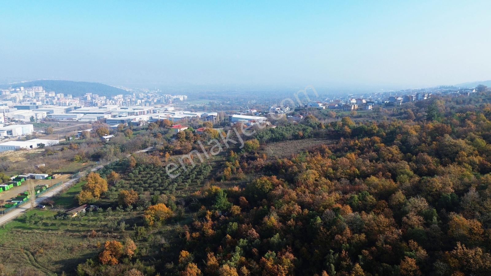 Kayapa'da 5000lik Planda Satılık Tek Tapu 1902 M2 Yatırımlık - Görsel 9