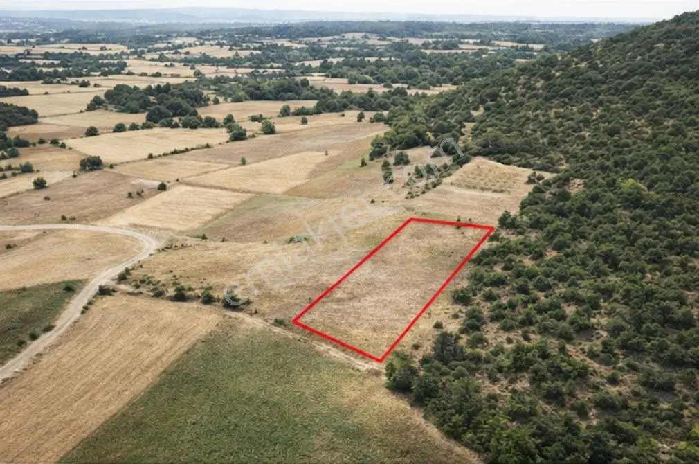 Yenişehir Osmaniye Resmi Yola Cephe Tek Tapu 2000m² Arazi - Görsel 2