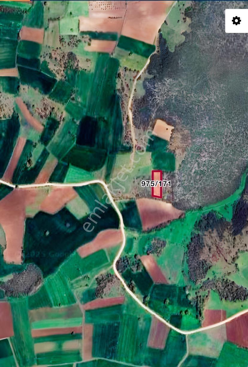 Yenişehir Osmaniye Resmi Yola Cephe Tek Tapu 2000m² Arazi