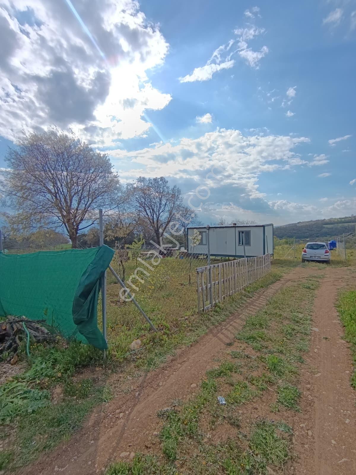İnegöl Süpürtü Kurulu Düzen 355 M2 Satılık Nefes Hobi Bahçesi - Görsel 19