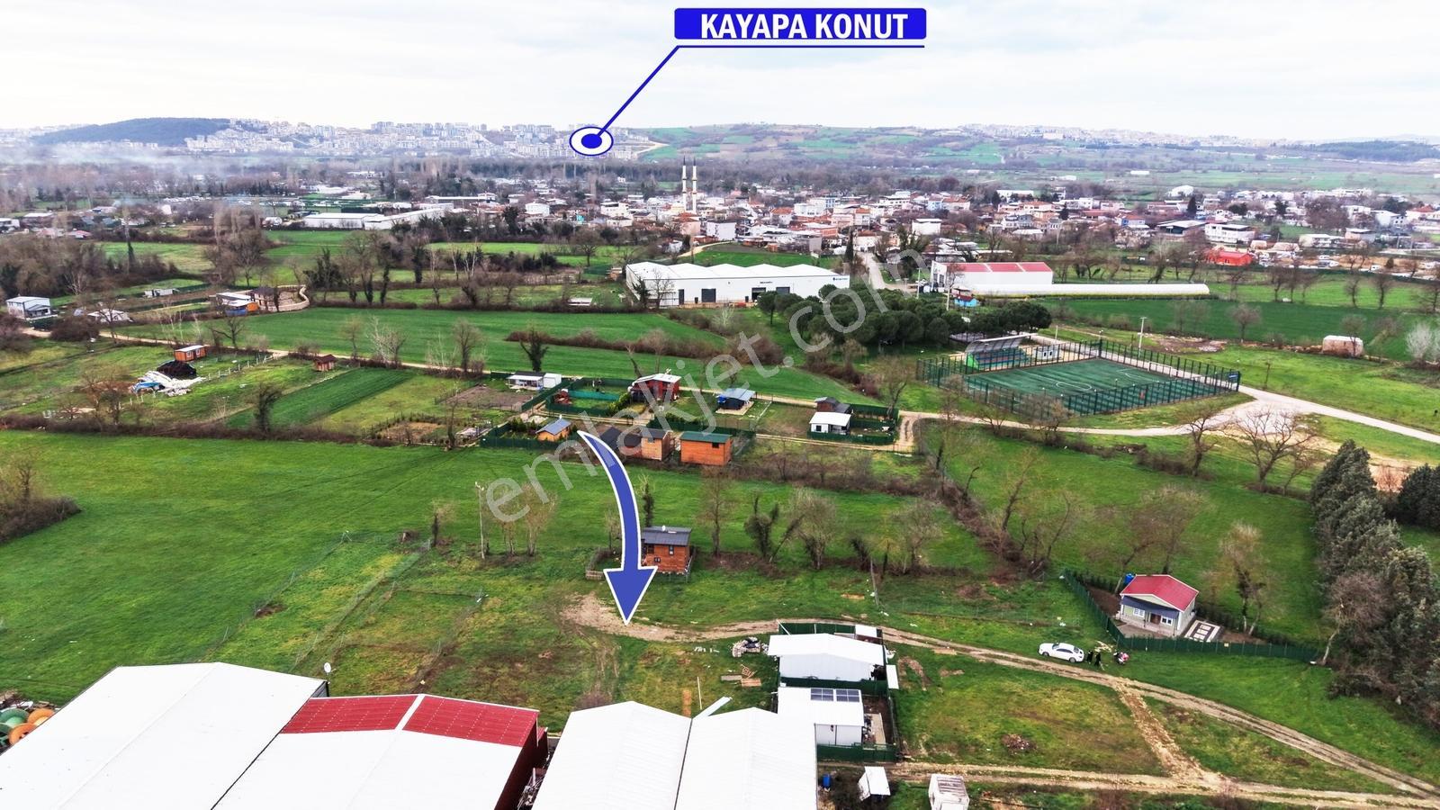 Nilüfer Tahtalı Yerleşime Yakın 560m² Satılık Hobi Bahçesi - Görsel 4