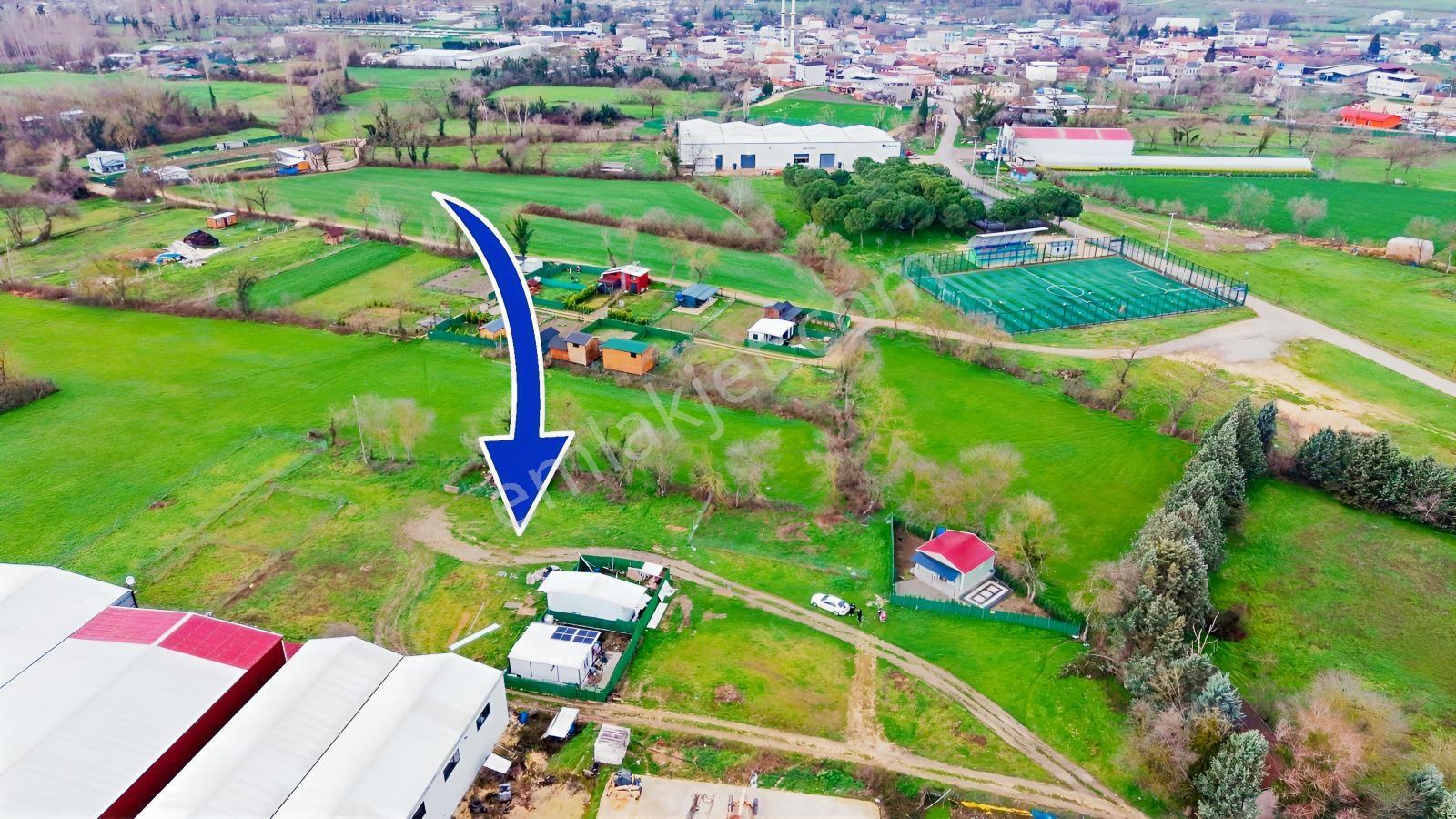 Nilüfer Tahtalı Yerleşime Yakın 560m² Satılık Hobi Bahçesi - Görsel 6
