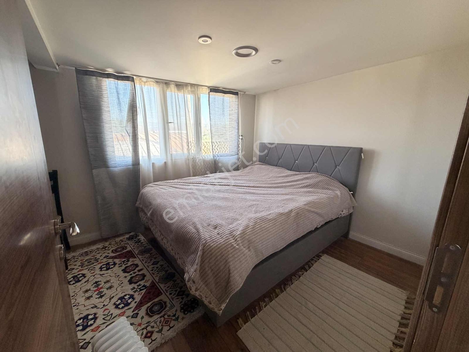 Nilüfer Ürünlü 490m² Satılık Çiftlik Evi & Besi Alanı Arazisi - Görsel 12