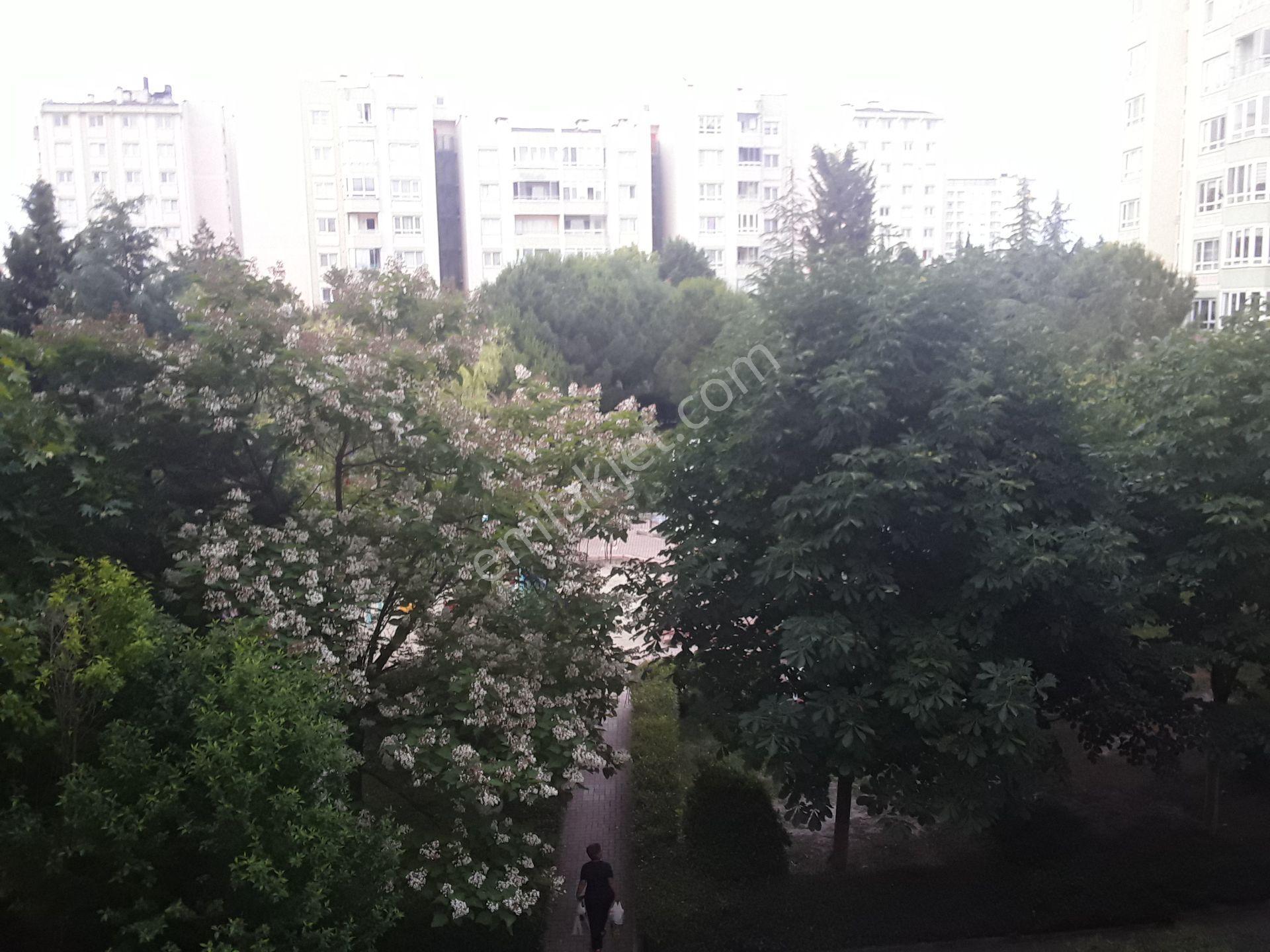 Kapaklı Organize Emlaktan Kızılçam Bloklarında 1+1 Satılık Daire - Görsel 3