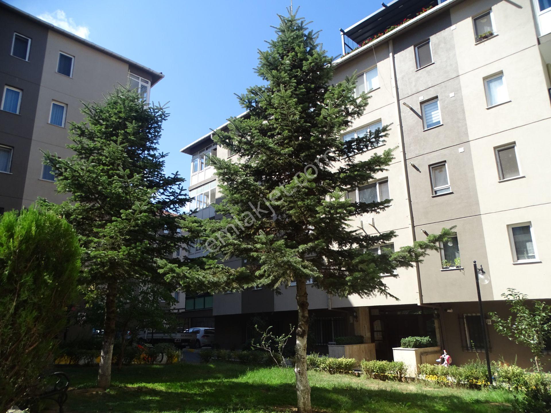 İstinye Boğaziçi C Bloklarında Teraslı Bakımlı Çatı Dubleks - Görsel 31