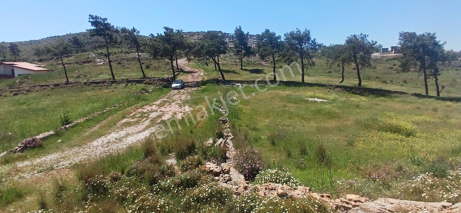 Bodruma Komşu Beyciler De Projeli Ruhsatlı Villa Arsası - Görsel 5