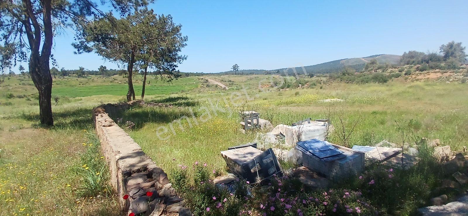 Bodruma Komşu Beyciler De Projeli Ruhsatlı Villa Arsası - Görsel 10
