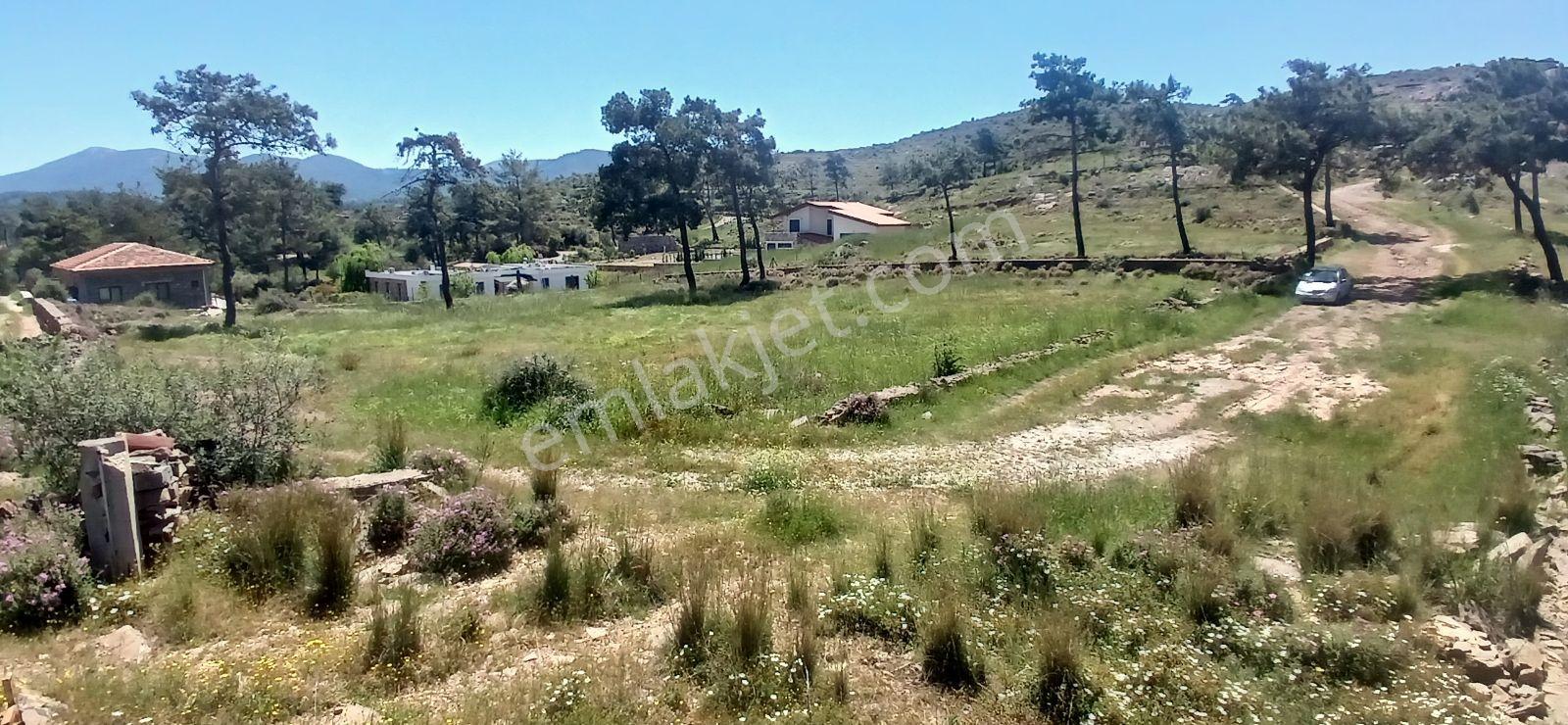 Bodruma Komşu Beyciler De Projeli Ruhsatlı Villa Arsası - Görsel 11