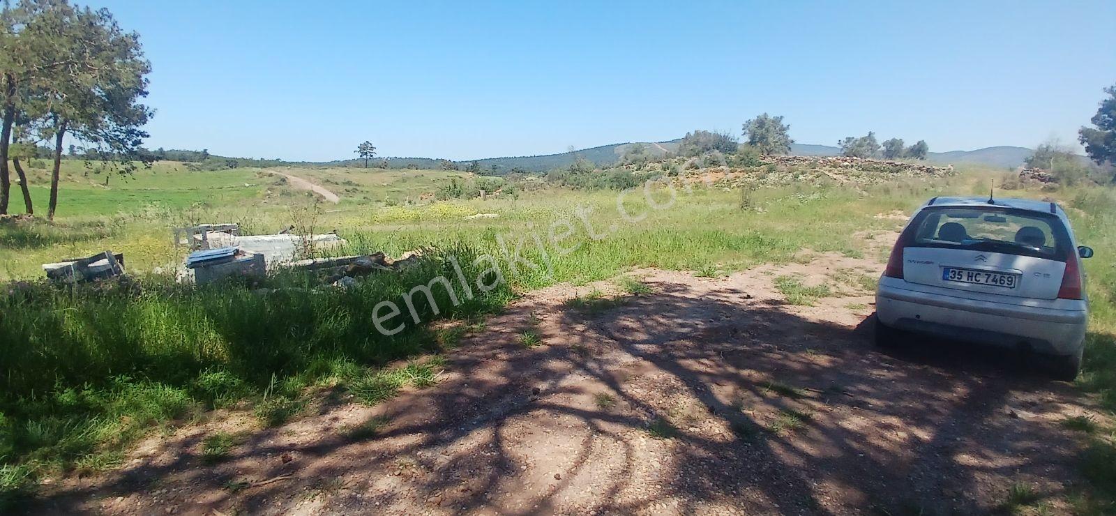 Bodruma Komşu Beyciler De Projeli Ruhsatlı Villa Arsası - Görsel 35