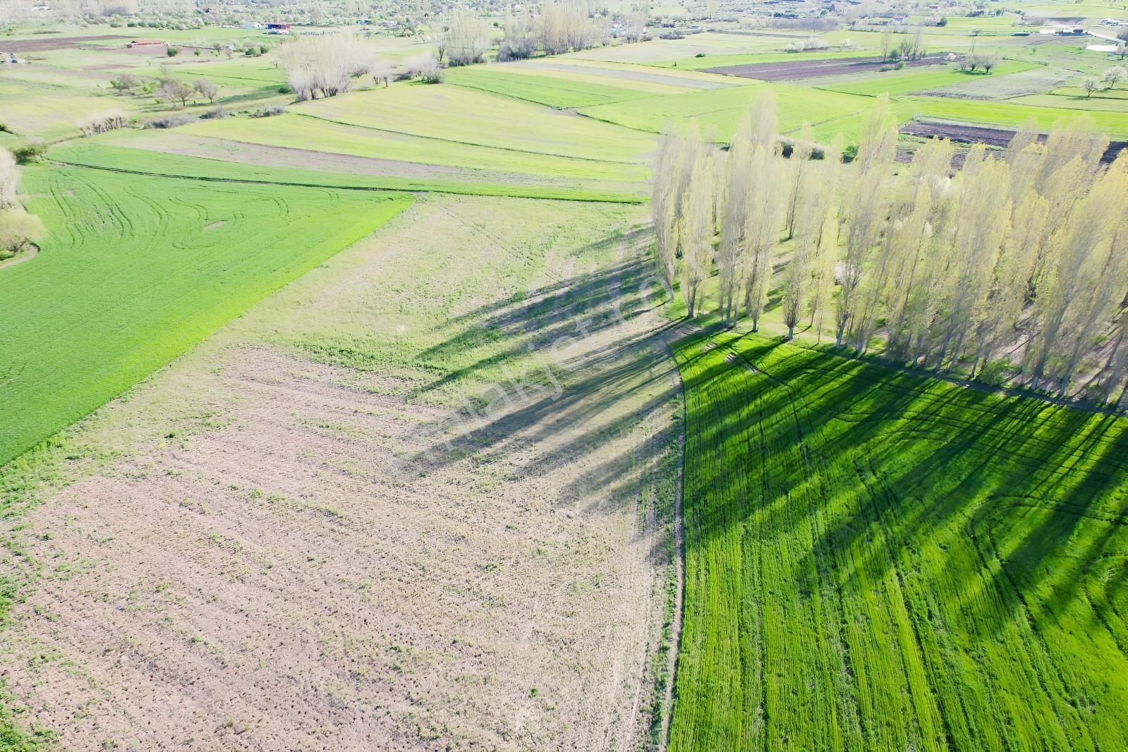 Ekin Group'tan Çay Mah. 4.035 M2 Satılık Tarla - Görsel 11
