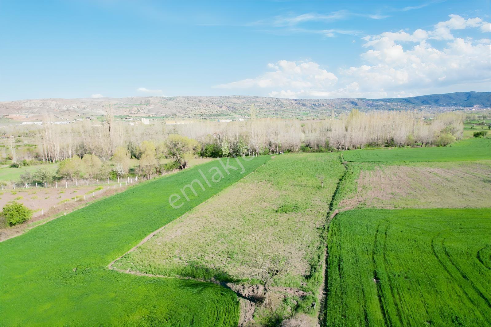 Ekin Group'tan Çay Mah. 4.035 M2 Satılık Tarla - Görsel 20