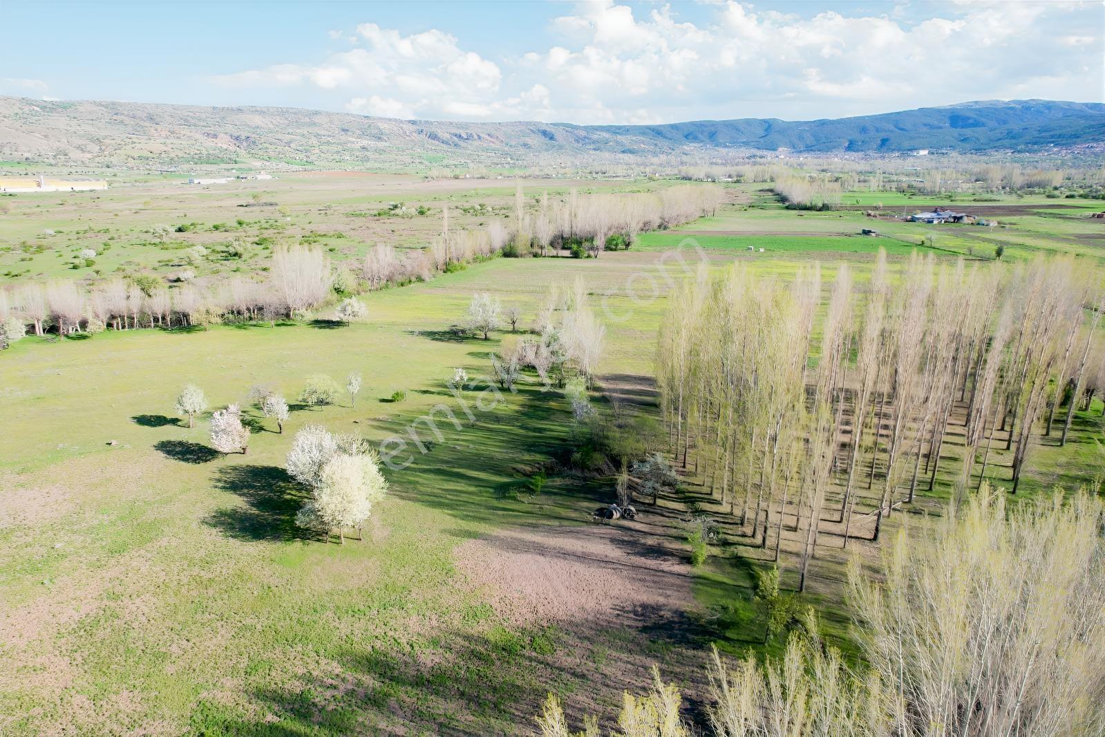 Ekin Group'tan Çay Mah. 4.035 M2 Satılık Tarla - Görsel 14