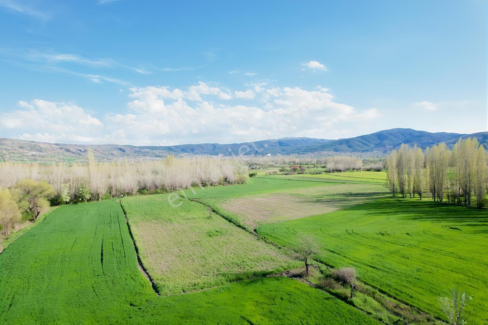 Ekin Group'tan Çay Mah. 4.035 M2 Satılık Tarla - Görsel 7