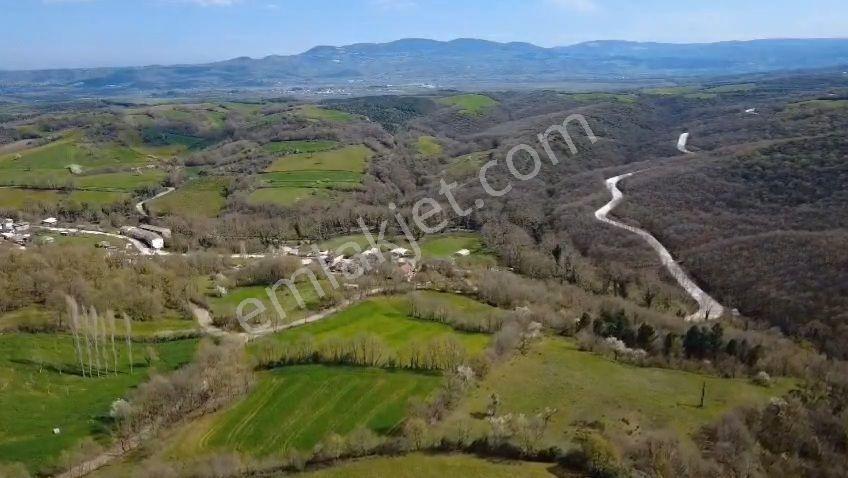 Öztarlacıdan Akarca Satılık Yatırım Fırsatı Arazi 22550 M2 - Görsel 7