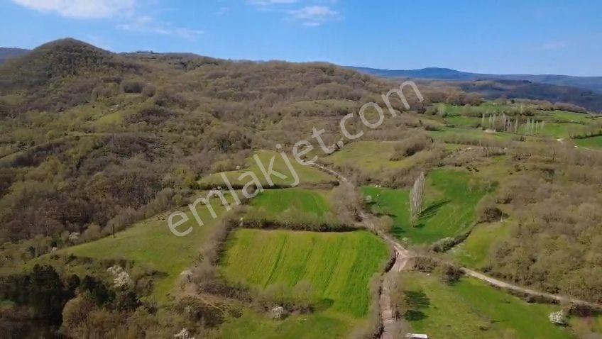 Öztarlacıdan Akarca Satılık Yatırım Fırsatı Arazi 22550 M2 - Görsel 2