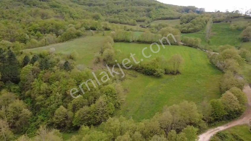 Öztarlacıdan Akarca Satılık Yatırım Fırsatı Arazi 22550 M2 - Görsel 5