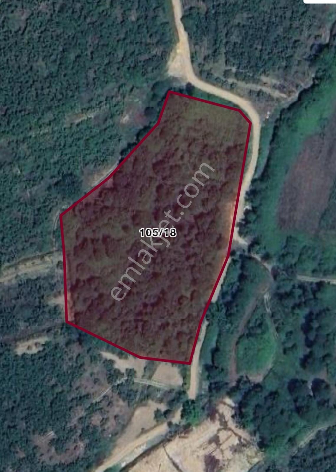 Sakarya Kocaali Melen De 9364 M2 Yatırımlık Arazi - Görsel 9