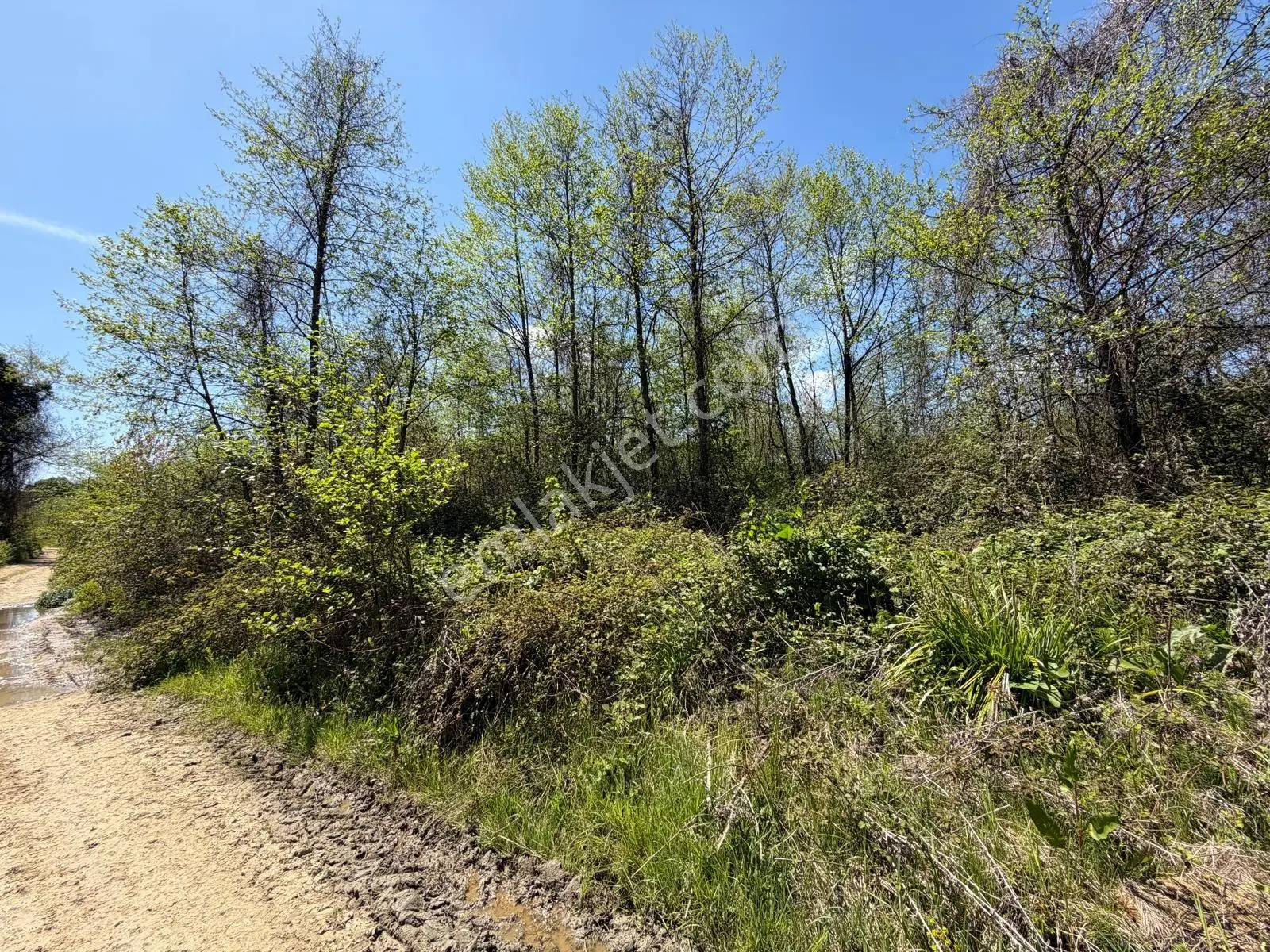 Sakarya Kocaali Melen De 9364 M2 Yatırımlık Arazi - Görsel 3