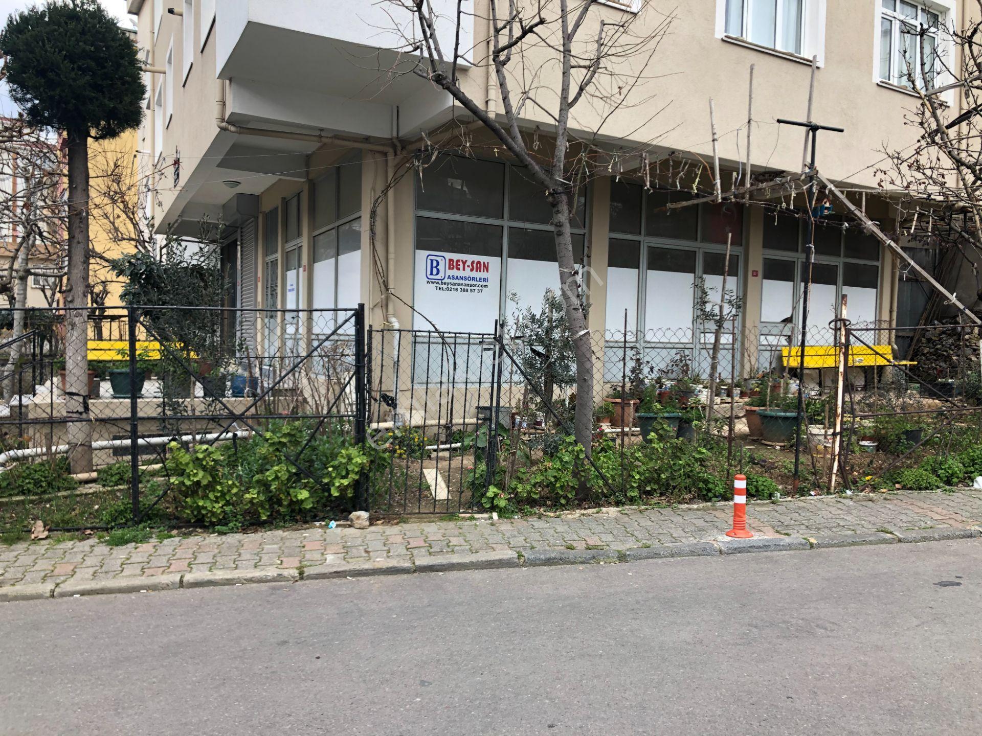 Orta Mahallede Satılık Üç Tane 2+1 Ve Dükkan ,bodrum - Görsel 3