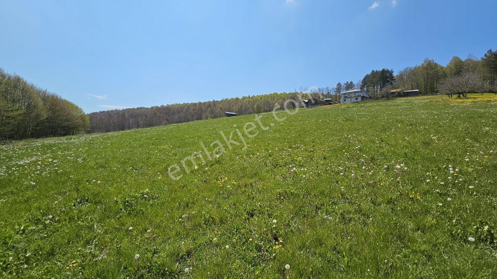 İznik Kutluca'da 600 M² Projelik Villalık İmarlı Arsalar - Görsel 4