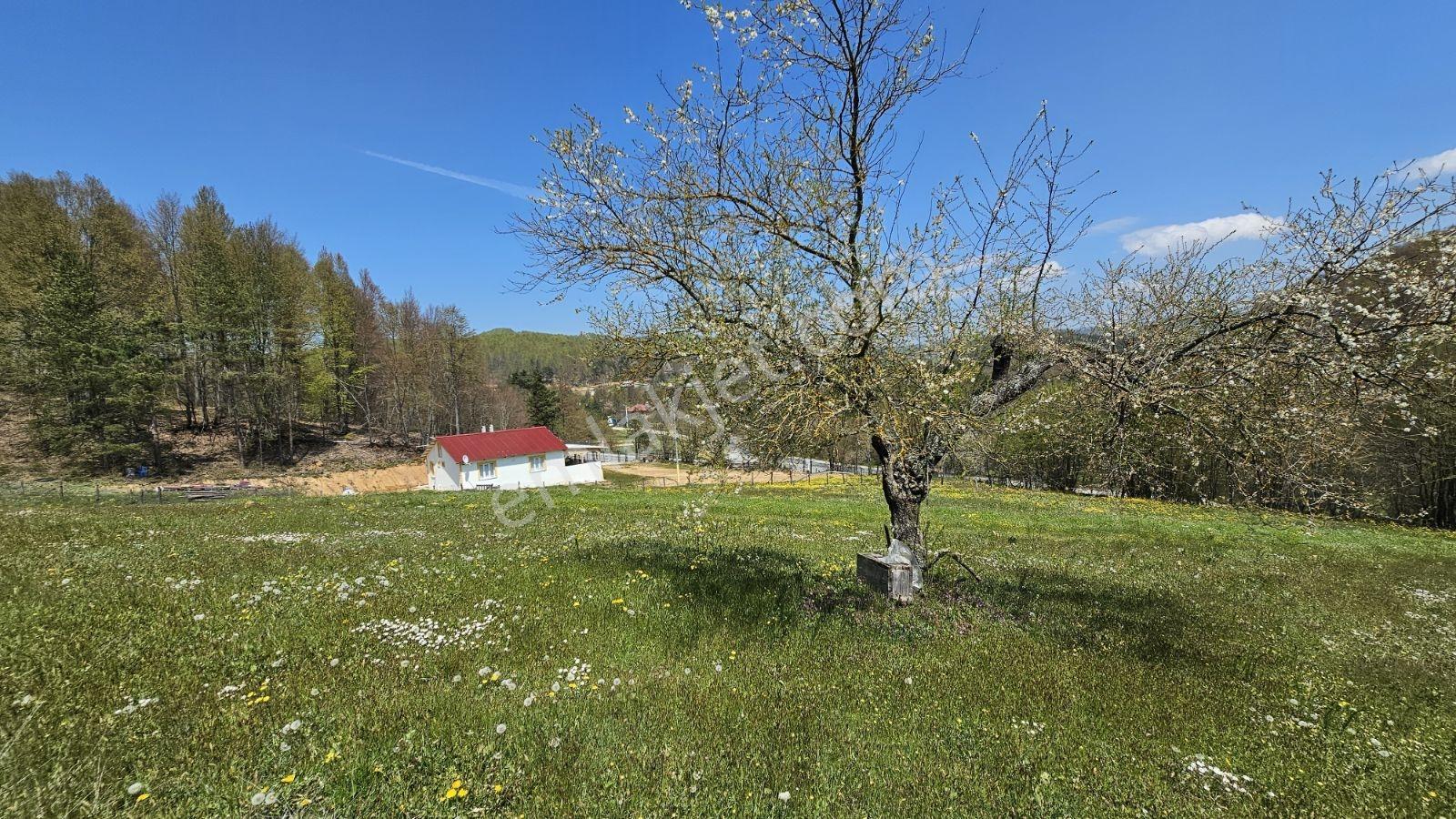 İznik Kutluca'da 600 M² Projelik Villalık İmarlı Arsalar - Görsel 8