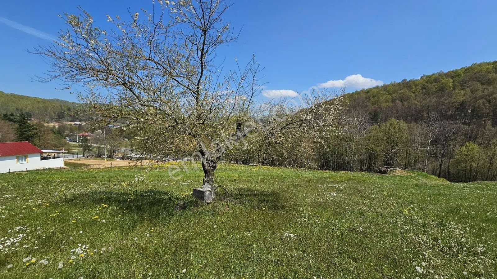 İznik Kutluca'da 600 M² Projelik Villalık İmarlı Arsalar - Görsel 32