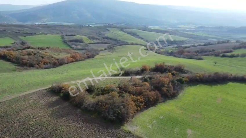 Öztarlacıdan At Çiftliği Ve Yatırıma Uygun 85.441 M2 - Görsel 4