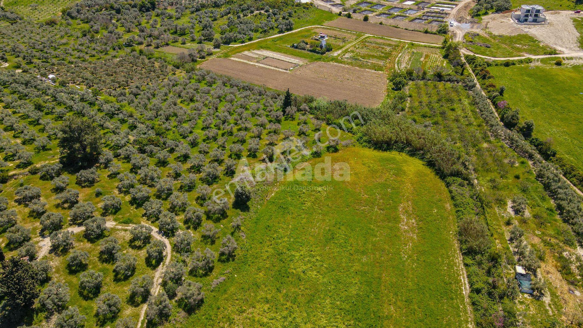 Kuşadası Davutlarda Konut İmarlı Satılık Arsa - Görsel 11