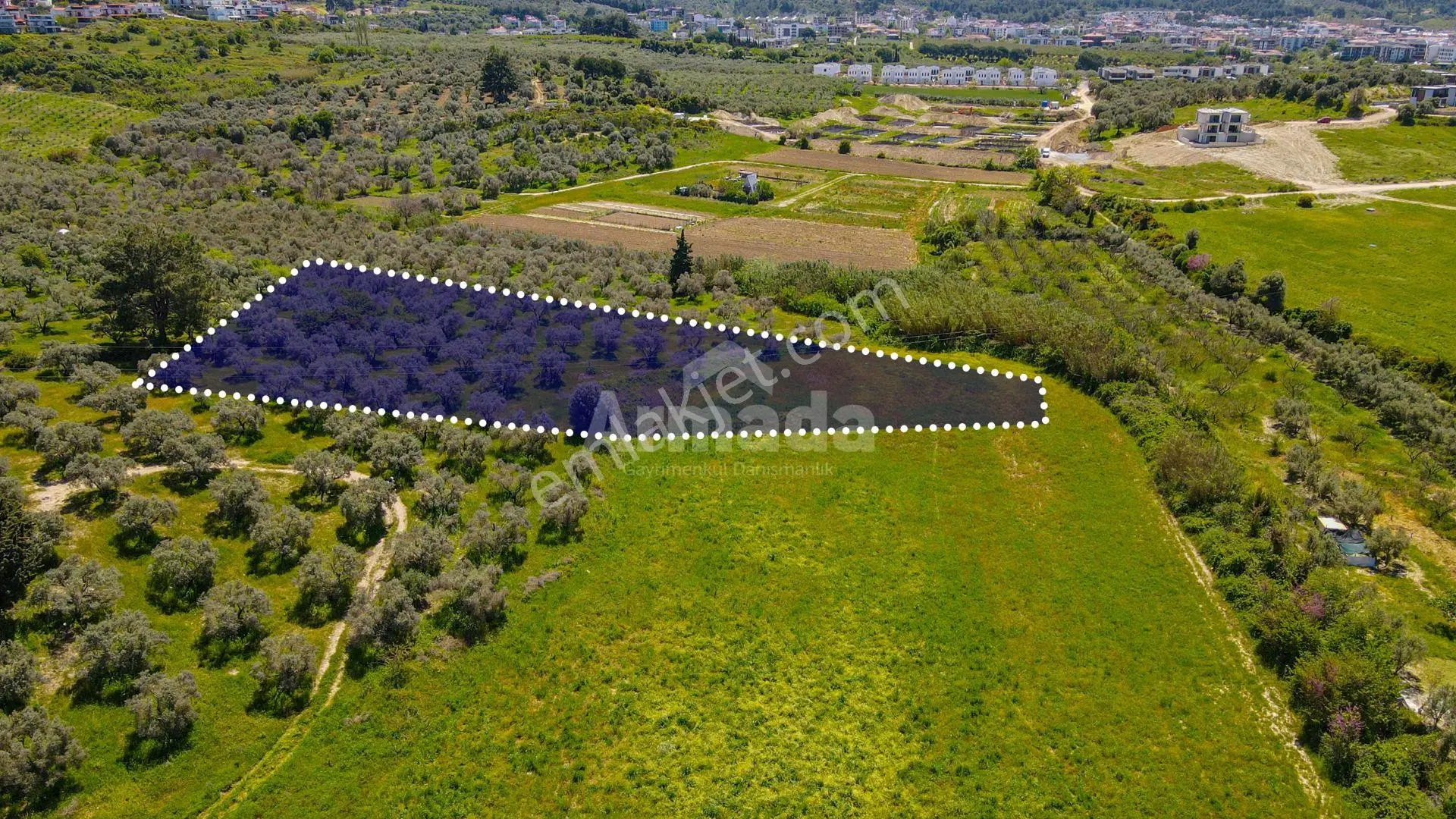 Kuşadası Davutlarda Konut İmarlı Satılık Arsa