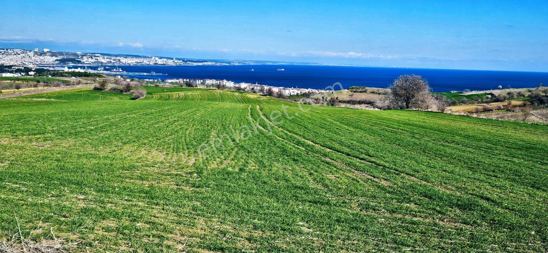Tekirdağ Topağaç Mahallesinde Full Deniz Doğa Ve Şehir Manzara 75 Adet Villa Projeye Uygun Arazi - Görsel 26
