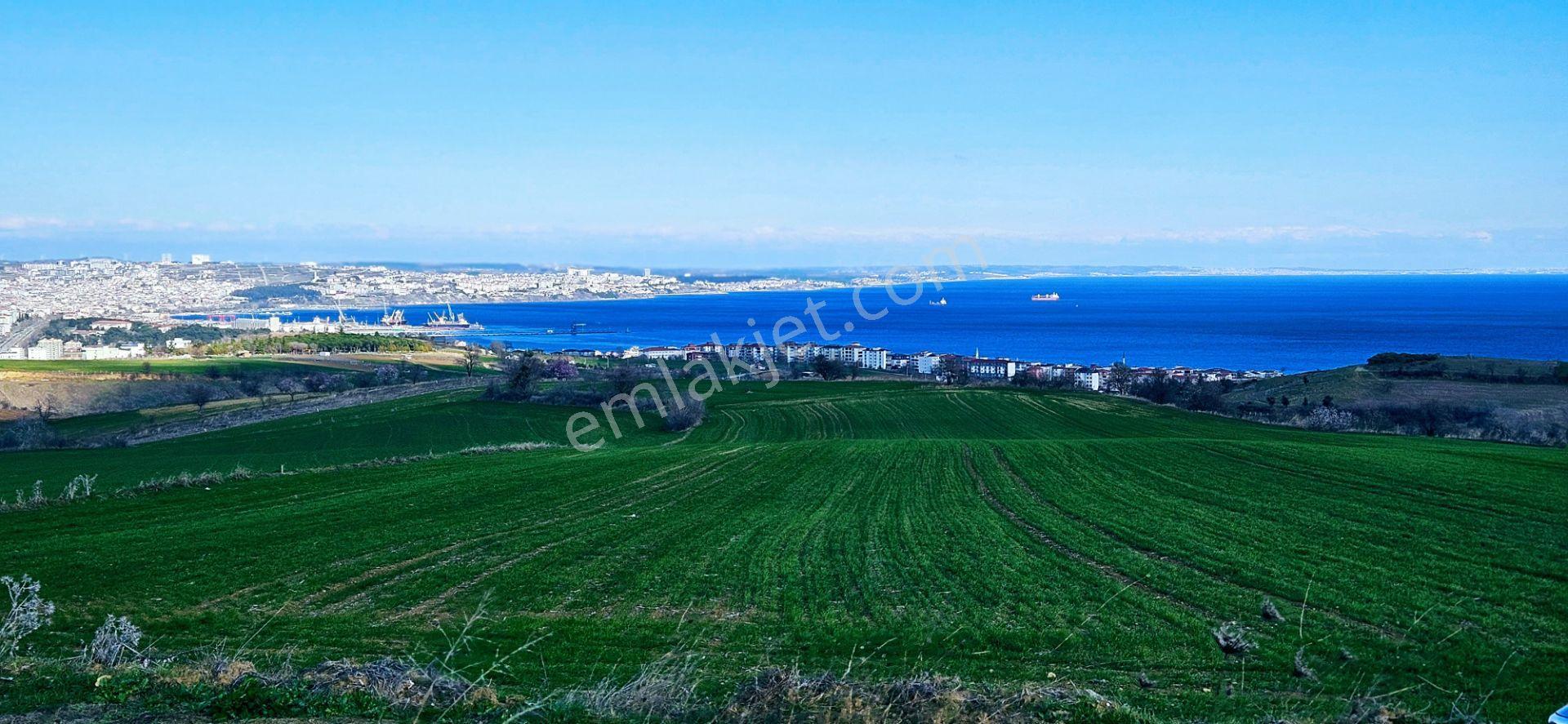 Tekirdağ Topağaç Mahallesinde Full Deniz Doğa Ve Şehir Manzara 75 Adet Villa Projeye Uygun Arazi - Görsel 8