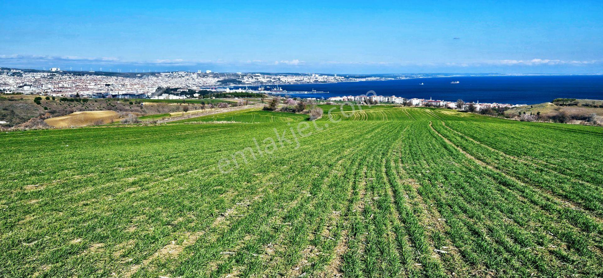 Tekirdağ Topağaç Mahallesinde Full Deniz Doğa Ve Şehir Manzara 75 Adet Villa Projeye Uygun Arazi - Görsel 23