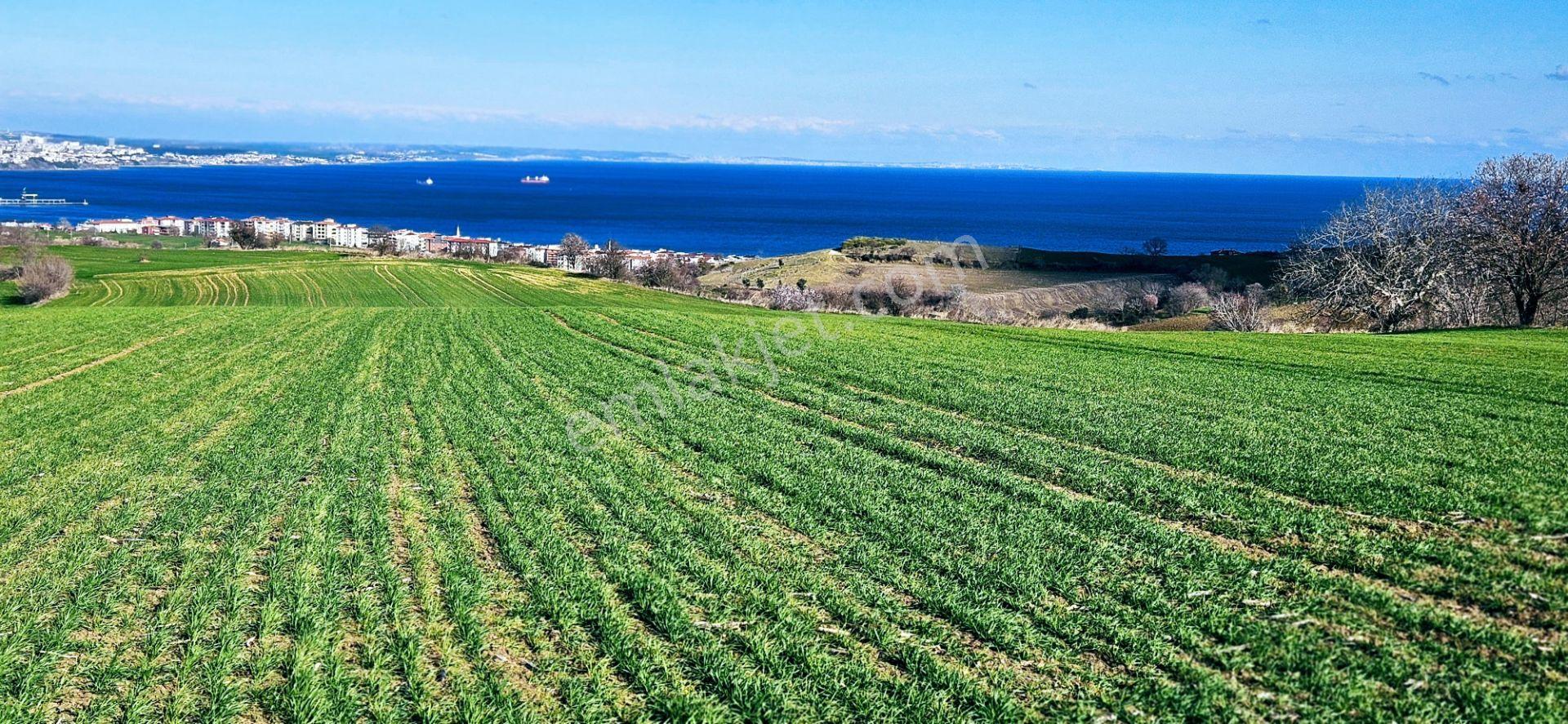 Tekirdağ Topağaç Mahallesinde Full Deniz Doğa Ve Şehir Manzara 75 Adet Villa Projeye Uygun Arazi - Görsel 5