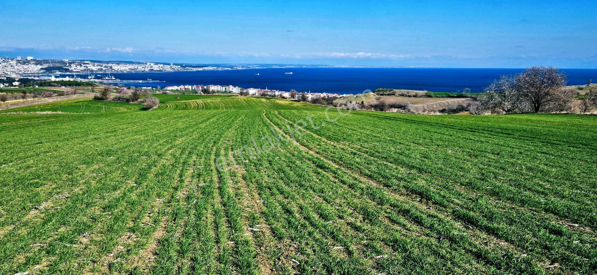 Tekirdağ Topağaç Mahallesinde Full Deniz Doğa Ve Şehir Manzara 75 Adet Villa Projeye Uygun Arazi - Görsel 24