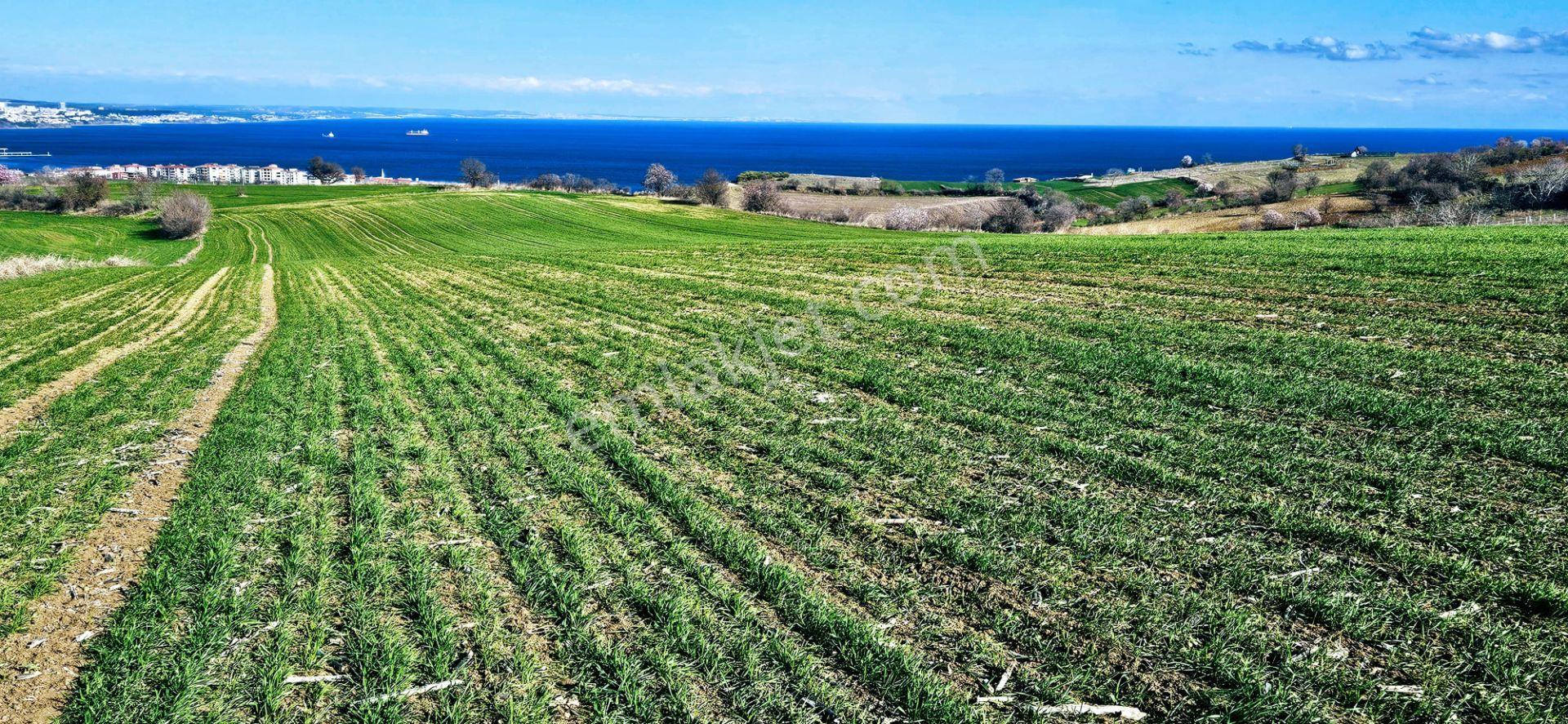 Tekirdağ Topağaç Mahallesinde Full Deniz Doğa Ve Şehir Manzara 75 Adet Villa Projeye Uygun Arazi - Görsel 20