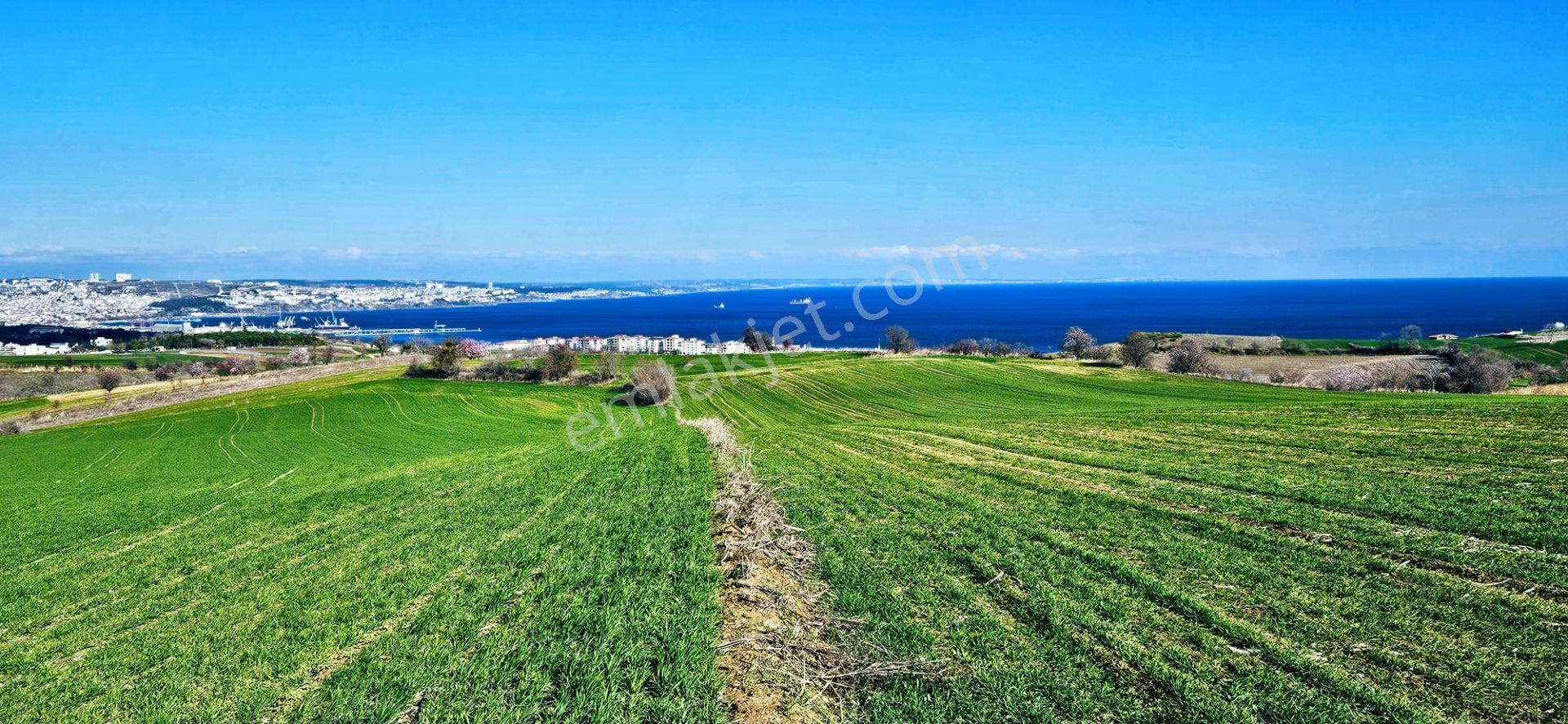 Tekirdağ Topağaç Mahallesinde Full Deniz Doğa Ve Şehir Manzara 75 Adet Villa Projeye Uygun Arazi - Görsel 6