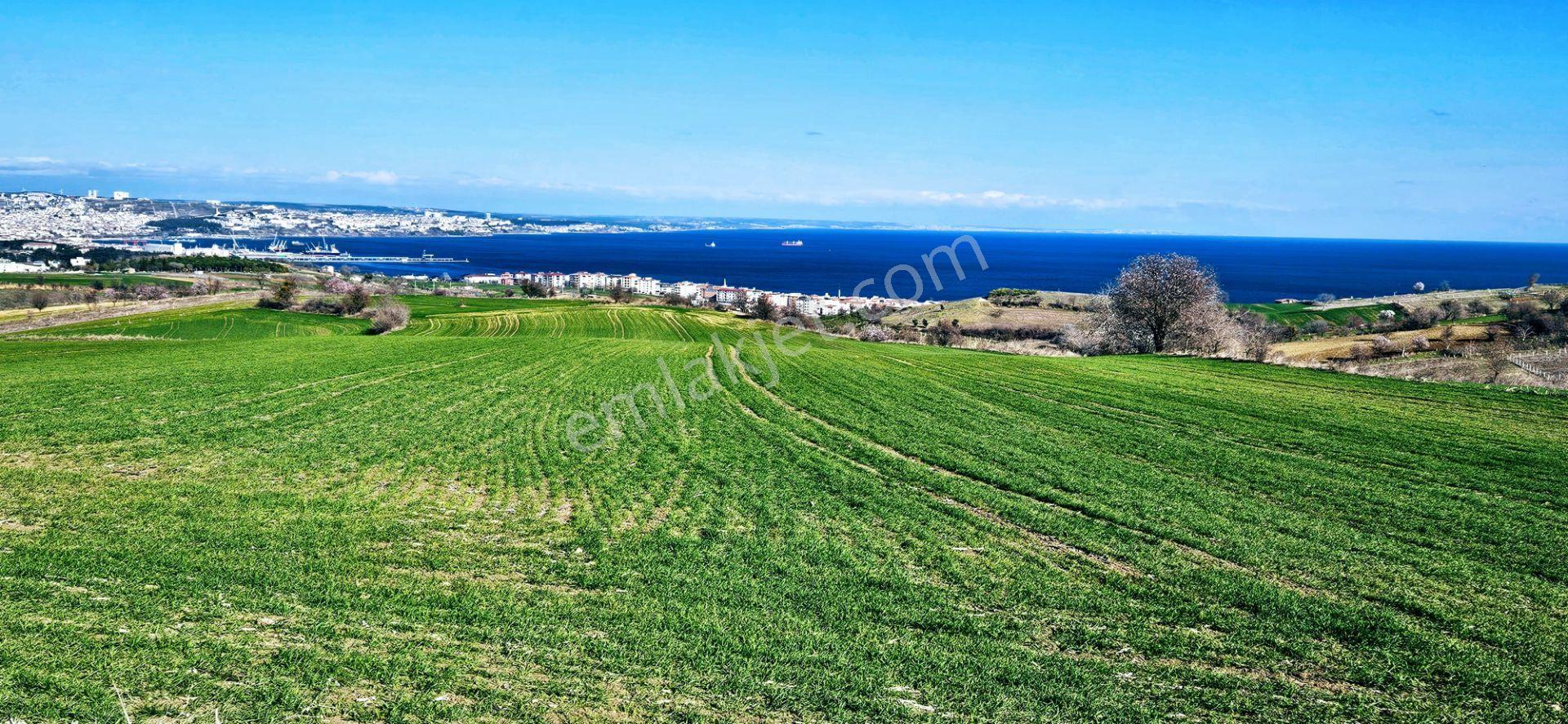 Tekirdağ Topağaç Mahallesinde Full Deniz Doğa Ve Şehir Manzara 75 Adet Villa Projeye Uygun Arazi - Görsel 25